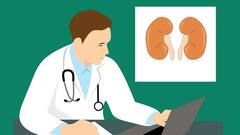 Kidney Stones: কিডনিতে পাথর জমেছে কিনা বুঝবেন যেভাবে
