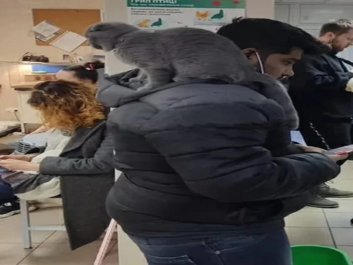 உக்ரைனில் இருந்து செல்லப்பிராணியுடன் திரும்பிய மாணவர்.. வைரலாகும் புகைப்படம்..