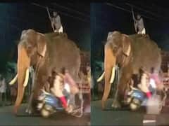 Watch Video: தாறுமாறாய் ஸ்கூட்டர் ஓட்டிய இளம்பெண்..பறந்த யானைப்பாகன்… மிரண்டு ஓடிய யானை… கொச்சியில் பரபரப்பு… வீடியோ வைரல்!