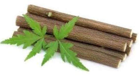 கொரோனா பாதிப்பு இருந்துச்சா? அப்போ உங்களுக்கு வேப்ப மரப்பட்டை உதவலாம்.. ஆய்வு தகவல்.. கொரோனா பாதிப்பு இருந்துச்சா? அப்போ உங்களுக்கு வேப்ப மரப்பட்டை உதவலாம்.. ஆய்வு தகவல்..