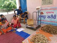 Bastar News: सॉफ्टवेयर इंजीनियर की नौकरी छोड़ बस्तर के इस युवा ने बदली सैकड़ों आदिवासी महिलाओं की जिंदगी, जानिए कैसे