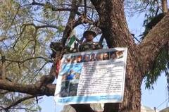 Beed News : पुन्हा जिल्हाधिकारी कार्यालयातील झाडावर आंदोलनासाठी चढला माजी सैनिक, प्रशासनाची डोकेदुखी वाढली