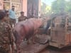 Gwalior News: बिल जमा नहीं करने पर भैंस की हुई कुर्की, ग्वालियर में वसूली के लिए नगर निगम का अनोखा अंदाज