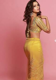 PHOTO : रुपाची खान, दिसती छान....श्वेता तिवारीचे ग्लॅमरस फोटो