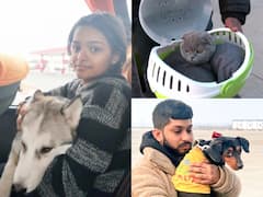 IN PICS | Furry Friends Who Couldn't Be Left Behind, Slowly Make Their Way To India From Ukraine