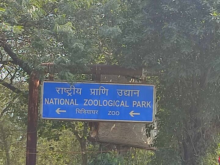 Delhi Zoo one lioness and male reindeer death know plain for increase of number of lions ann Delhi News: दिल्ली के Zoo में एक शेरनी और बारहसिंघा की मौत पर प्रशासन मौन, शेरों की संख्या बढ़ाने के लिए बनी योजना