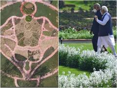 Delhi News: राष्ट्रपति भवन में Arogya Vanam लोगों को कर रहा आकर्षित, जानिए इसके बारे में सबकुछ