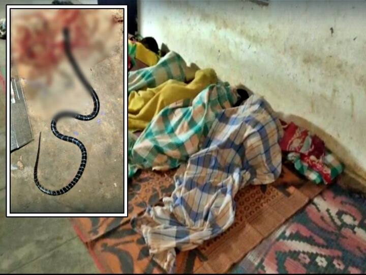 Vizianagaram three students were bitten by a snake at BC Welfare Hostel in kurupam BC Hostel snake Bite: కురుపాం బీసీ హాస్టల్ లో ముగ్గురు విద్యార్థులకు పాము కాటు, ఘటనపై విచారణకు ఆదేశించిన మంత్రి