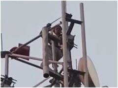 Bhind: नशे के लिए पैसे नहीं मिले तो मोबाइल टावर पर चढ़ा युवक, हाई वोल्टेज ड्रामे के बाद पुलिस ने उतारा