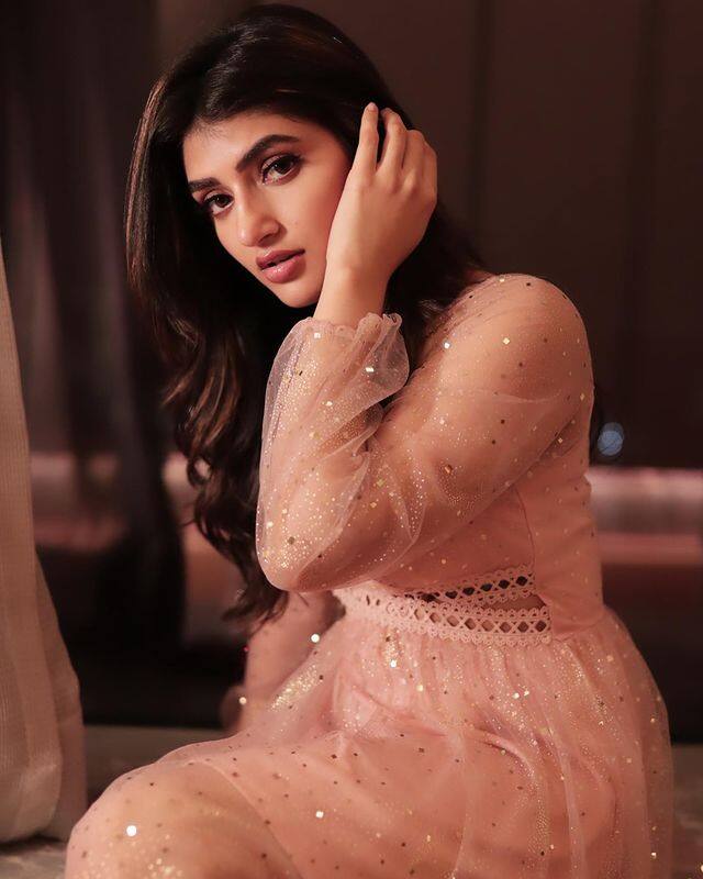 సితారా ఎంటర్టైన్మెంట్స్ సంస్థ శ్రీలీలతో రెండు సినిమాలకు అగ్రిమెంట్ చేసుకుంది. ప్రస్తుతం ఈ బ్యానర్ లో నవీన్ పోలిశెట్టి, వైష్ణవ్ తేజ్ హీరోలుగా సినిమాలను తెరకెక్కిస్తున్నారు.(Photo Courtesy: Sreeleela Instagram)