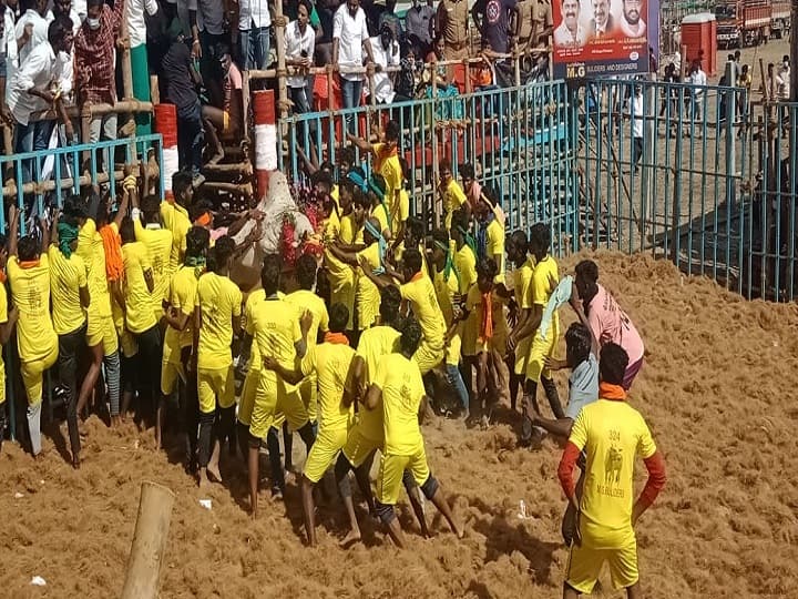 The 2nd year Jallikkattu competition started in Dharmapuri தருமபுரியில் 2 ஆம் ஆண்டாக நடைபெற்ற மாபெரும் ஜல்லிக்கட்டு போட்டி