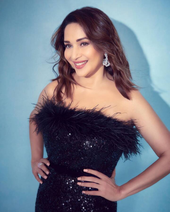 आपल्या अभिनयाने आणि त्यासोबतच अभिजात सौंदर्याने लाखो प्रेक्षकांना भुरळ घालणारी अभिनेत्री म्हणजेच माधुरी दीक्षित. (photo:madhuridixitnene/ig)