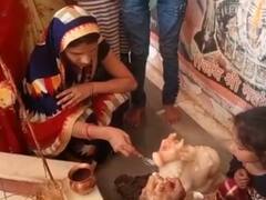 Indore: शिव मंदिरों में अफवाह सुनकर भक्तों का लगा हुजूम, जानिए क्या है पूरा मामला