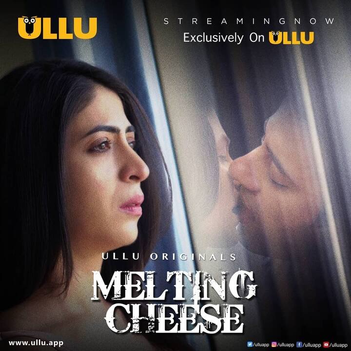 मेल्टिंग चीज वेब सीरीज साल 2019 में रिलीज हुई थी. सीरीज की कहानी एक बिजनेसमैन के एक्स्ट्रा मैरिटियल अफेयर के इर्द-गिर्द घूमती है.