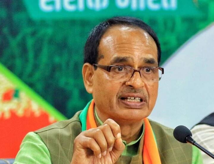 शिवराज सिंह ने सांसद बनने के बाद प्रदेश की जनता से जुड़े कई मुद्दों को उठाया. उन्होंने कई पदयात्राएं भी कही. और इस कारण ही उन्हें विदिशा संसदीय क्षेत्र में पांव-पांव वाले भैया के नाम से पुकारा जाने लगा. शिवराज सिंह ने इस दौरान जनता से जुड़कर इतनी लोकप्रियता हासिल कर ली की 29 नवंबर 2005 को वे पहली बार प्रदेश के मुख्यमंत्री की कुर्सी पर काबिज हुए.