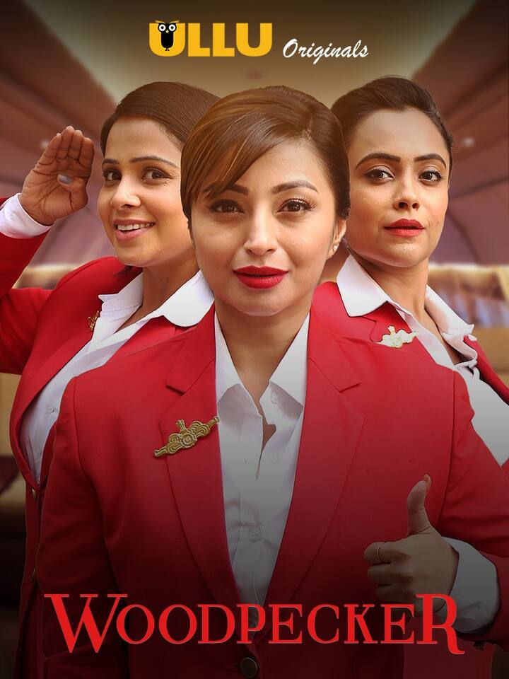 वुडपेकर वेब सीरीज में एक लालची बिजनेसमैन दिखाया गया है जो अपने फायदे के लिए अपने रिश्तों में तक धोखा देता है.