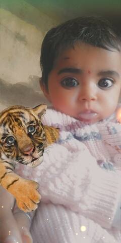 ਤਰਨਤਾਰਨ 'ਚ ਵੱਡੀ ਵਾਰਦਾਤ ,ਪਿਓ ਨੇ ਕੀਤਾ ਆਪਣੀ 5 ਮਹੀਨਿਆਂ ਦੀ ਮਾਸੂਮ ਬੱਚੀ ਦਾ ਕਤਲ  