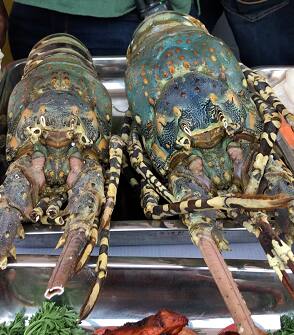 ছবিতে 'এবিপি আনন্দ খাইবার পাস'