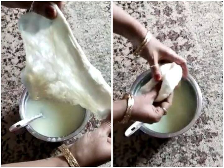 After boiling of adulterated milk it accumulates like chewing gum video will surprise मिलावटी दूध के फटने के बाद च्युइंग गम की तरह जमा, हैरान कर देगा वीडियो!