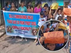 Street Dogs Issue: కేటీఆర్ అంకుల్ వీధి కుక్కల బారి నుంచి కాపాడండి, కొంపల్లిలో చిన్నారుల వినూత్న ర్యాలీ