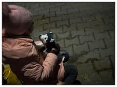 Ukraine Crisis: 11-Year-Old Boy Reaches Slovakia Alone With Few Possessions And Phone Number Written On Hand