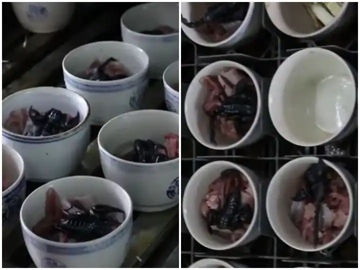 Watch: ਸੱਪ ਤੇ ਬਿੱਛੂ ਨੂੰ ਮਿਲਾ ਕੇ ਬਣਾਇਆ ਜਾ ਰਿਹਾ ਡੀਟੌਕਸ ਡਰਿੰਕ, ਸੂਪ ਪੀਣ ਨੂੰ ਉਤਾਵਲੇ ਹੋ ਰਹੇ ਲੋਕ 