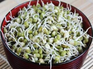 Weight Loss : वजन कमी करण्यासाठी आहारात सामील करा स्प्राउट्स, आरोग्यालाही होतील अनेक फायदे!