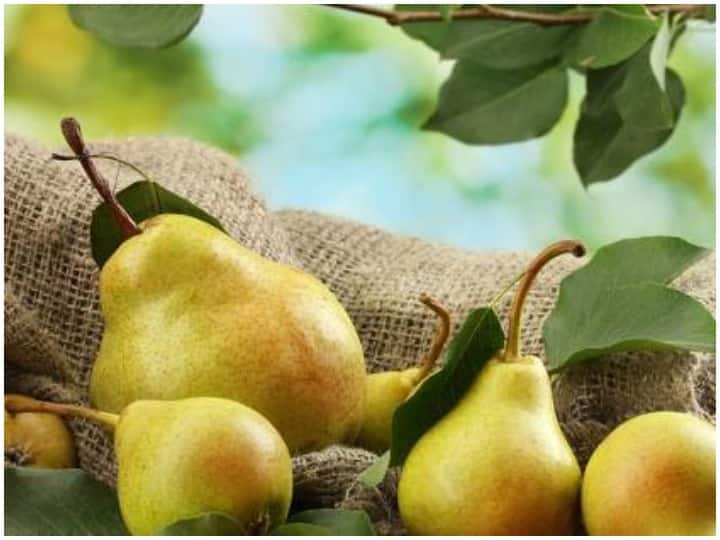 Health Tips, Eat Pears daily to Lose Weight, Weight Lose Tips, Benefits Of Consuming Pears रोजाना नाशपाती का करें सेवन, बढ़ता वजन होगा कम