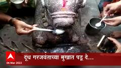 Maharashtra News : नंदीला दूध पाजण्यासाठी मंदिराबाहेर गर्दी,अंधश्रध्देला ऊत नंदी पितोय दूध