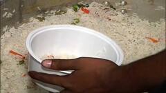 BJP Meet : বিজেপির চিন্তন বৈঠকে জমাটি খাওয়া-দাওয়া, মেনুতে কাতলা কালিয়া, চিলি চিকেন ।Bangla News