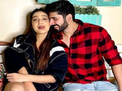 दिव्या अग्रवाल और वरुण सूद से पहले इन कपल्स के ब्रेकअप ने तोड़ा था फैंस का दिल!