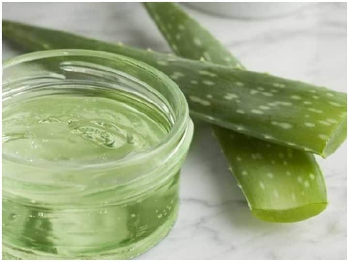 Health Tips, Women with oily skin should use Aloe Vera Gel like this, Oily Skin Care Tips ऑयली स्किन की महिलाएं करें एलोवेरा जेल का इस्तेमाल, अपनाएं ये तरीका