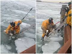 जमी हुई डेट्रॉइट नदी में बर्फ के टुकड़े पर फंसा कुत्ता, जान हथेली पर रख पुलिस ने किया रेस्क्यू