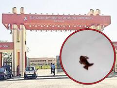 Basara IIIT News: బ్రేక్ పాస్ట్ లో కప్ప, బొద్దింక, బాసర ట్రిపుల్ ఐటీ మెస్ లో కలుషిత ఆహారం!