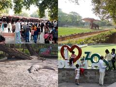 In Pics: दिल्ली के चिड़ियाघर में उमड़ी पर्यटकों की भीड़, जानवरों को देख खिल उठे बच्चों के चेहरे, देखें तस्वीरें