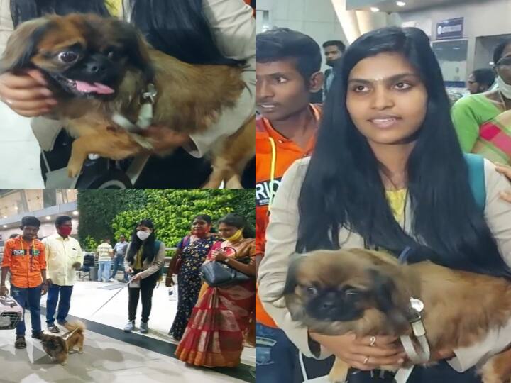 Ukraine war tamilnadu student doctor return with dog chennai airport WATCH VIDEO | வந்தால் அவனுடன்தான் வருவேன்...! போர்க்களத்தில் செல்லப்பிராணியை விட மனமில்லாமல் சென்னை வந்த மாணவி