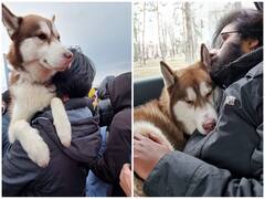 लाडक्या श्वानाला युक्रेनमधून भारतात आणण्यासाठी हजारोंचा खर्च.. नाशिकच्या श्वानप्रेमीची 'इमोशनल  स्टोरी'