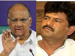 एकीकडे थोरलेपणाची अपेक्षा अन् दुसरीकडे वैराग्याच्या काळातही 'बगल में छुरी'; पडळकरांचा शरद पवारांवर हल्लाबोल