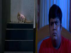 तारक मेहता का उल्टा चश्माः खतरे में आई पोम पोम की जान, रात के सन्नाटे में कौन पहुंचा गोकुलधाम!