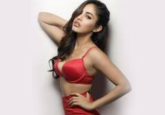 એક્ટ્રેસ પ્રિયા બેનર્જીનો બિકિનીમાં હોટ અંદાજ,  તસવીરો સોશિયલ મીડિયામાં વાયરલ