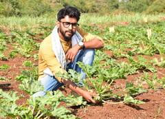 તાપીના ઈજનેર યુવકે અમરિકન ઝુકીની ખેતી કરી શરૂ, રાજ્યના બન્યા સૌપ્રથમ ખેડૂત