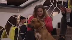 Ukraine Russia conflict : Russian Strike Destroys Vinnytsia Airport in Central Ukraine | ABP News