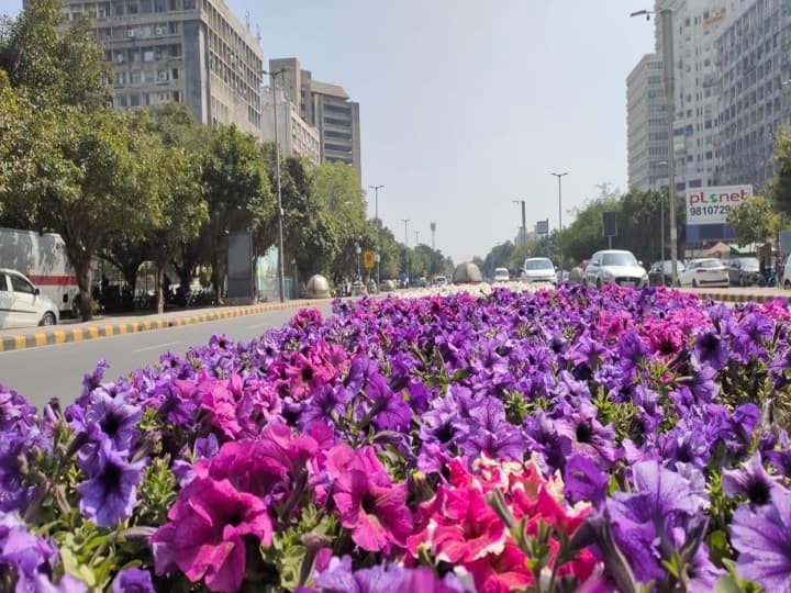 New Delhi News: NDMC is doing beautification redevelopment of Delhi area New Delhi News: एनडीएमसी कर रहा है दिल्ली क्षेत्र का सौंदर्यीकरण और पुनर्विकास, लगाए जा रहे है 60 हजार से अधिक पौधे