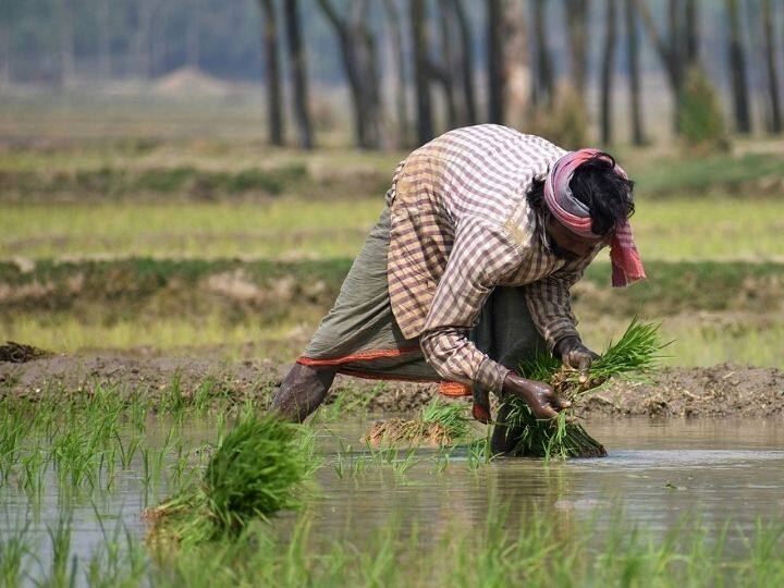 Telangana government has taken a key decision in budget 2022-23 on farmers debts, full details here Telangana budget 2022-23: 75వేల రూపాయల్లోపు రుణం ఉన్న రైతులకు హరీష్‌  తీపి కబురు