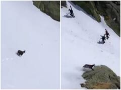 शिकारी को आता देख बकरी ने बर्फीली पहाड़ी पर लगाई रेस, एक ही छलांग में पार की चट्टान