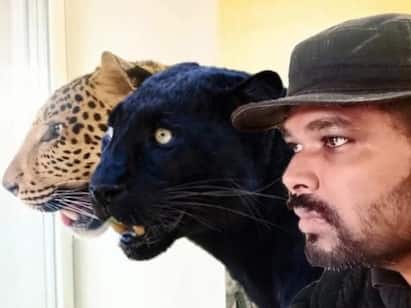 Indian doctor refuses to leave Ukraine without his pet panther and jaguar சிறுத்தைகள் என் குழந்தைகள்போல : உக்ரைனில் செல்லப்பிராணிகளை விட்டு வர மறுக்கும் இந்திய மருத்துவர்