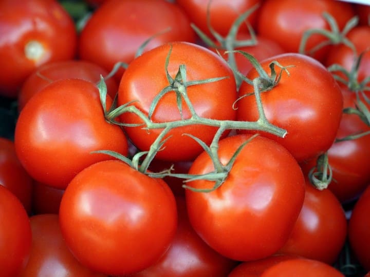 Tomatoes Shelf Life: टमाटर को लंबे समय तक फ्रेश बनाए रखने का आसान तरीका