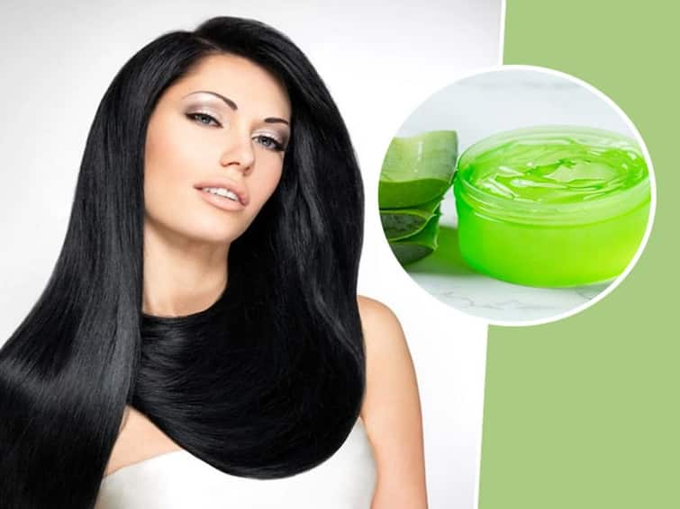 EFFECTIVE WAYS TO USE OF ALOE VERA FOR HAIR GROWTH Hair Care: હેર ફોલથી પરેશાન છો? તો એલોવેરાનો આ રીતે કરો ઉપયોગ, ખરતા વાળની સમસ્યાથી મળશે છૂટકારો