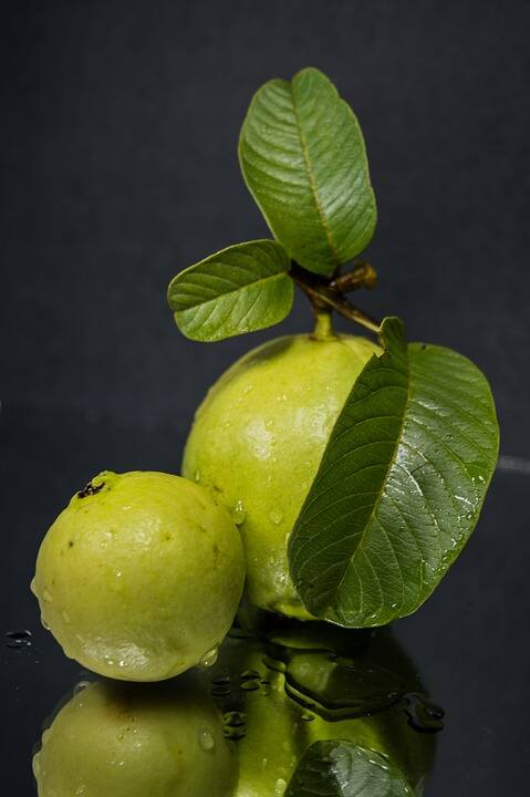 রোগ প্রতিরোধ ক্ষমতা বাড়াতে পেয়ারা খান রোজ