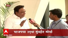 Ashish Shelar  : गंभीर आरोप असूनही राज्य सरकार मलिकांचा राजीनामा का घेत नाही, आशिष शेलार यांचा सवाल